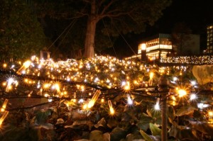 イルミネーションは来年1月末まで毎日点灯（撮影：鈴木亮介・21日）