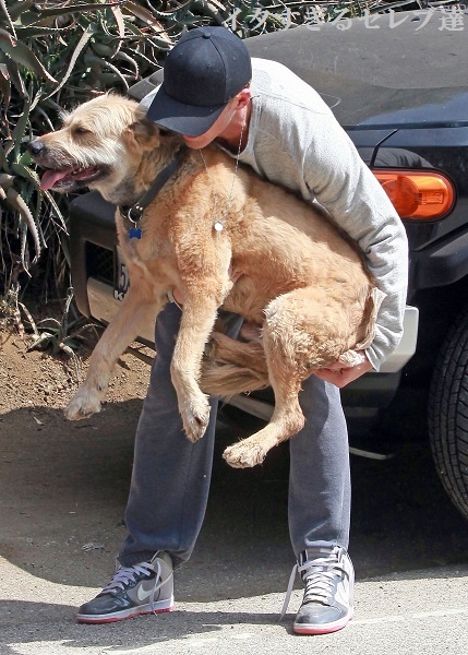 ライアン・ゴズリング、老犬ジョージの健康が心配でひどい落ち込み