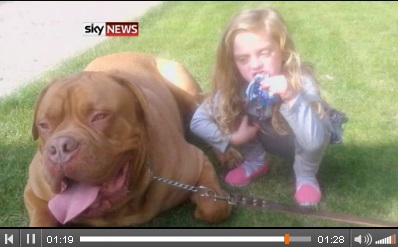 女児を噛み殺した犬は飼育禁止のピットブルだった！　画像はSky Newsのスクリーンショット