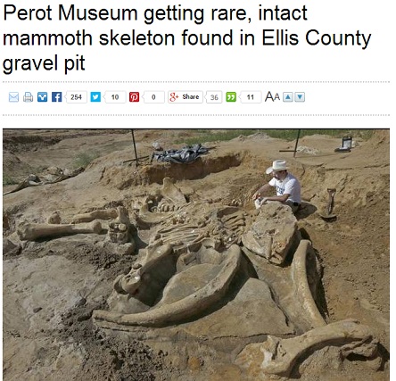 テキサス州エリス郡の農場からマンモスの骨（画像はdallasnews.comのスクリーンショット）