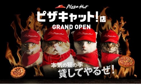 猫スタッフが『ピザキャット！店』で奮闘！