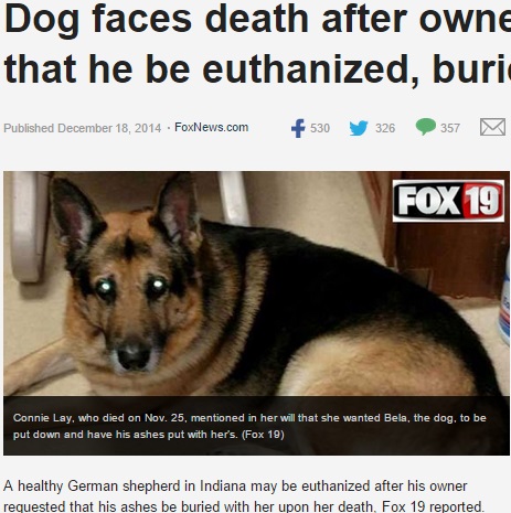 米女性、愛犬を安楽死させ一緒に埋葬をと遺言（画像はfoxnews.comのスクリーンショット）