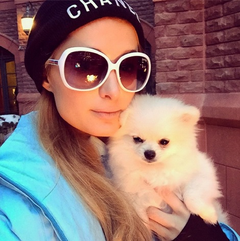 愛犬もバケーションに同行！（画像はinstagram.com/parishiltonより）