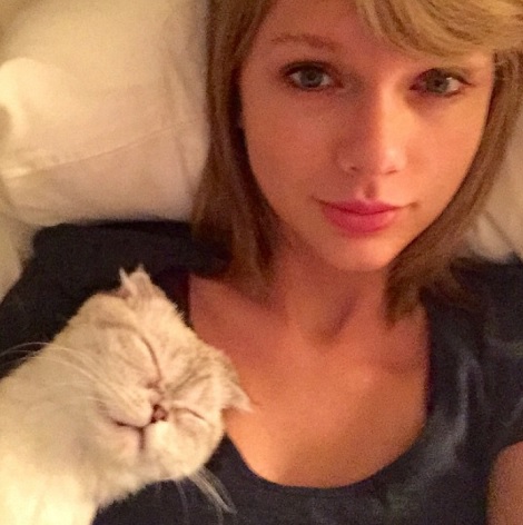 猫好きなテイラー・スウィフト（画像はinstagram.com/taylorswiftより）