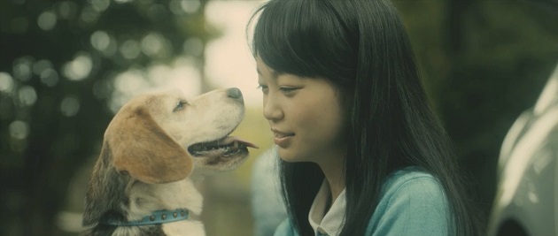 愛犬が飼い主を思う気持ちがいじらしい。人と犬の強い絆が感じられる動画が公開。