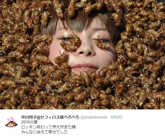 【エンタがビタミン♪】中川翔子が“セミの抜け殻”を大好きなワケ。実は「生きたセミが怖い」と証言。