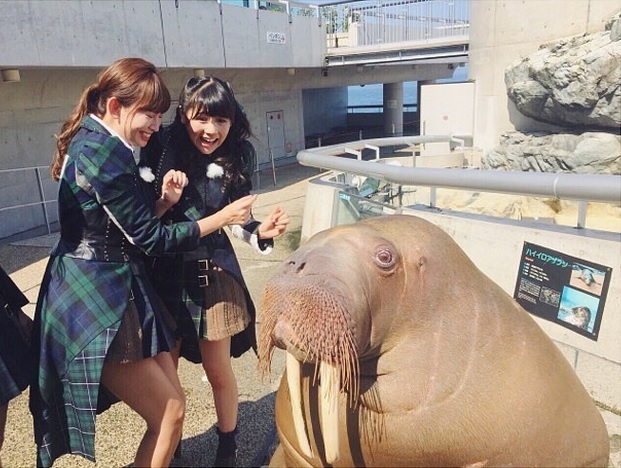 セイウチに驚く小嶋陽菜と西野未姫（画像は『小嶋陽菜 Instagram』より）