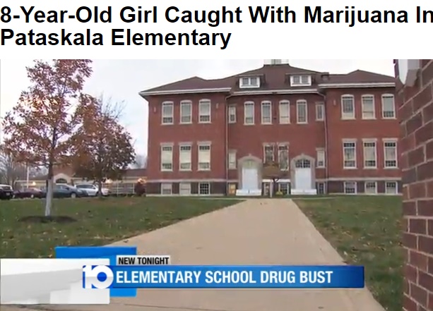 米8歳女児が小学校トイレで大麻を吸い補導（画像は10tv.comのスクリーンショット）