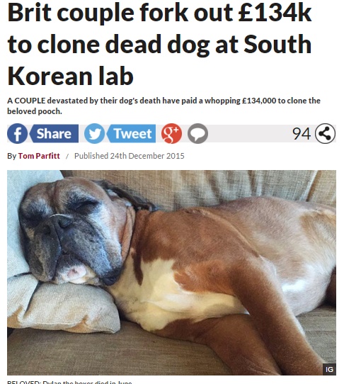 このたびの注文はイギリスから。韓国クローン犬ビジネス、それなりに順調（画像はdailystar.co.ukのスクリーンショット）