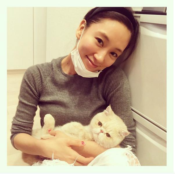 【エンタがビタミン♪】水川あさみや石田ゆり子も“ねこ”が好き。インスタグラム国内ハッシュタグ1位は「＃猫」