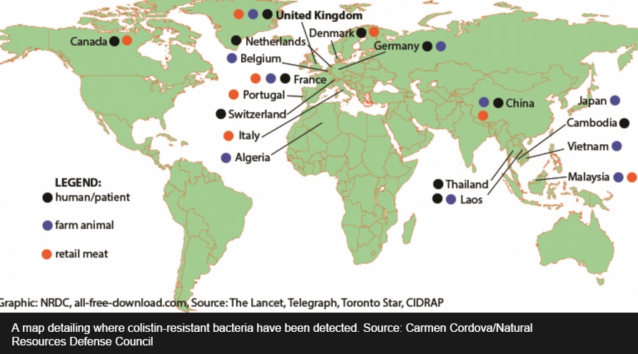 最強の抗生物質「コリスチン」も世界に耐性菌が（出典：http://www.todayonline.com）