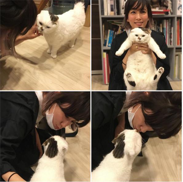 【エンタがビタミン♪】水川あさみ　念願叶い猫の「コム様」と初対面、キスシーンまで披露