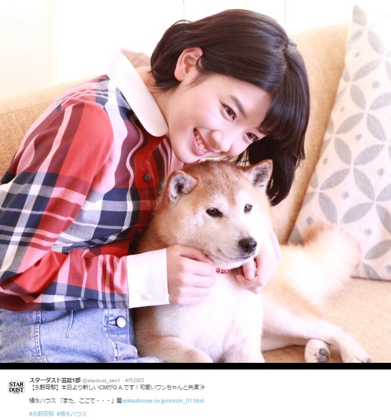 【エンタがビタミン♪】娘と愛犬が心の会話　永野芽郁が出演する新CMにほっこり