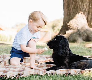 愛犬とくつろぐジョージ王子（出典：https://www.instagram.com/kensingtonroyal）