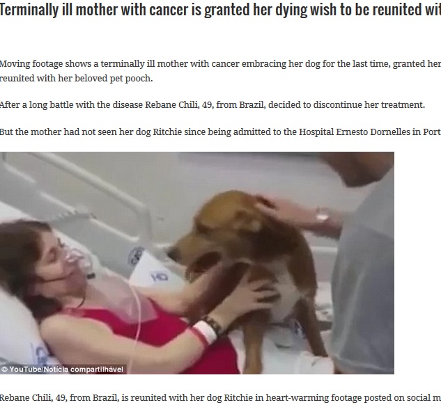 愛犬、末期がんの飼い主のもとへ（出典：http://aidjournal.com）