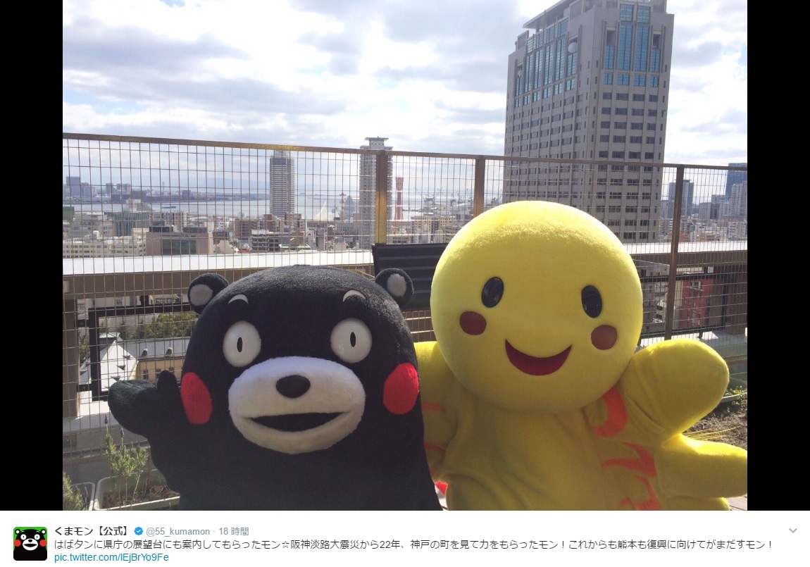 県庁展望台から神戸の街を見下ろすくまモン、はばタン（出典：https://twitter.com/55_kumamon）