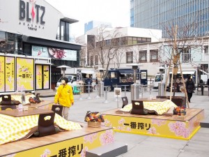 赤坂サカスの花見こたつ会場