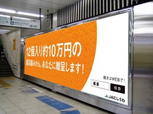 「瓤嚢」は一体何と読む？