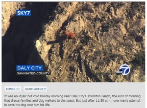 崖の途中に佇む犬（画像は『ABC7 News　2018年2月19日付「Man falls from cliff, dies while trying to rescue dog in Daly City」』のスクリーンショット）