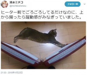 障害物を跳び越すような猫の風景（画像は『清水ミチコ　2018年1月22日付Twitter「ヒーター前でごろごろしてるだけなのに、上から撮ったら躍動感がみなぎっていました。」』のスクリーンショット）