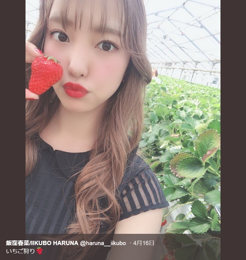 いちご狩りする飯窪春菜（画像は『飯窪春菜/IIKUBO HARUNA　2019年4月16日付Twitter「いちご狩り」』のスクリーンショット）