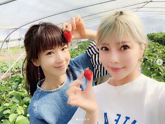 ほしのあき、住谷杏奈といちご狩り（画像は『住谷杏奈　2019年5月4日付Instagram「帰国した次の日は、ほしのあきちゃんに誘ってもらい、5家族でイチゴ狩りツアー」』のスクリーンショット）