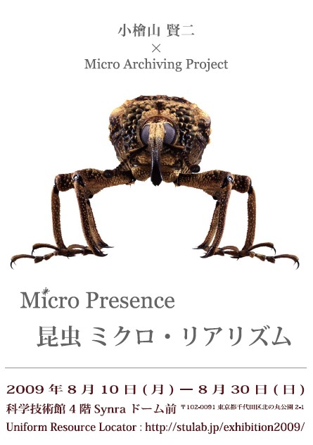 顕微鏡で見ると、昆虫がアートになる？　次世代のデジタル昆虫図鑑の展示、科学技術館で開催