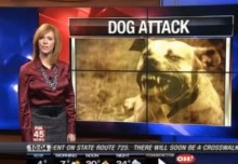 【米国発！Breaking News】隣家の大型犬2頭に女性が噛み殺される。再三の注意にも放し飼い。（オハイオ州）