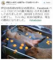 【エンタがビタミン♪】“カピバラ露天風呂対決”に決着。リラックスした姿が「油断し過ぎ」とウケる。