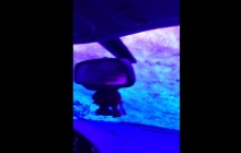 【海外発！Breaking News】幻想的なアメリカの洗車マシーン、まるでトリップ!?＜動画あり＞