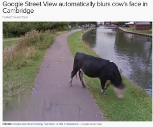【海外発！Breaking News】Googleストリートビューが牛の顔にモザイク　G社「ちょっと頑張りすぎました」とコメント（英）