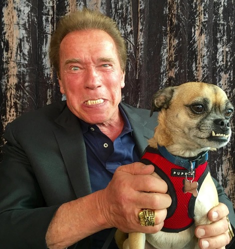 シュワ「自分の容姿を見るとつい…」（出典：https://www.instagram.com/schwarzenegger）