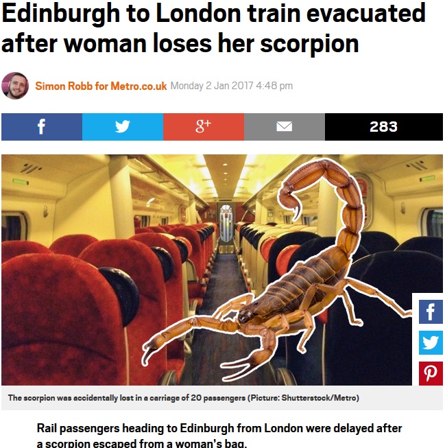 列車内でサソリが逃げ出し大迷惑（出典：http://metro.co.uk）