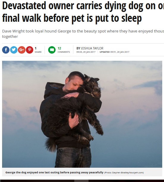 愛犬と最後の散歩をする飼い主（出典：http://www.mirror.co.uk）