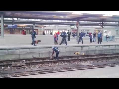 ドイツの駅で警察犬が吠え、一般人を線路に突き落とす（出典：https://www.youtube.com）
