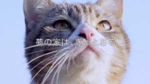 2月22日は猫の日！　4階建て「デザイニャーズハウス」がすごい＜動画あり＞