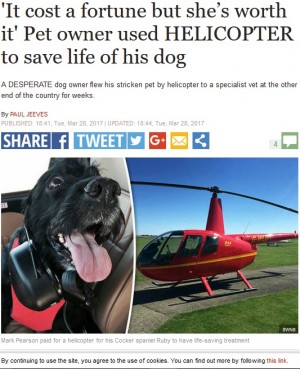 【海外発！Breaking News】「重症の愛犬を助けたい」ヘリコプターに乗せ、300km先の病院へ通った飼い主（英）