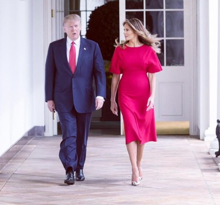 メラニア夫人、夫とは手をつなぐのも嫌？（出典：https://www.facebook.com/FLOTUS）