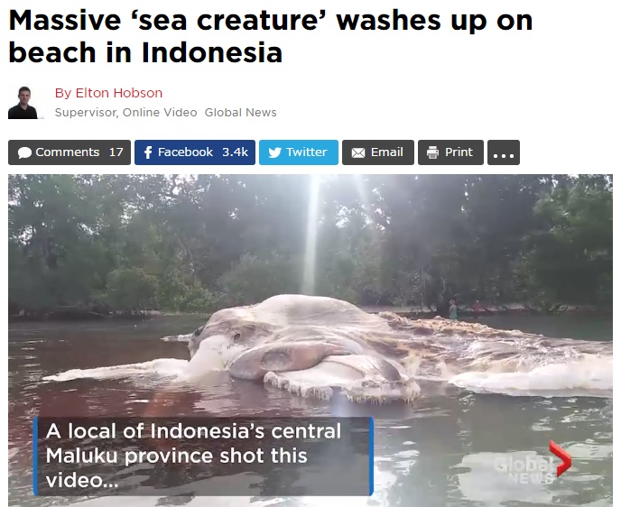 セラム島に打ち上げられた謎の巨大生物（出典：http://globalnews.ca）