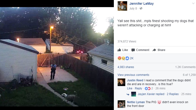 犬に向かって警官が発砲（画像は『Jennifer LeMay　2017年7月8日付Facebook「Yall see this shit...mpls finest shooting my dogs that weren't attacking or charging at him!」』のスクリーンショット）