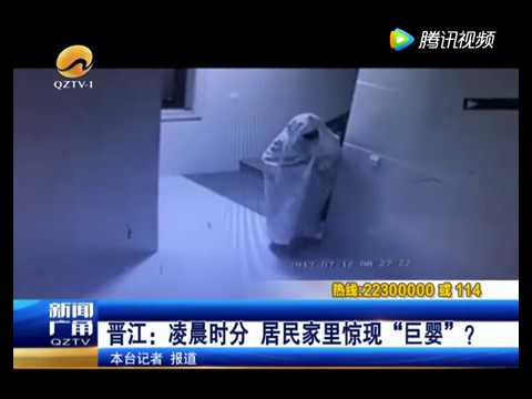 オバケに成りきるも御用に（画像は『Multi Media　2017年7月25日公開 YouTube「Burglar Disguises Himself as a Ghost to Make it Past Security Camera, Gets Caught Anyway」』のサムネイル）