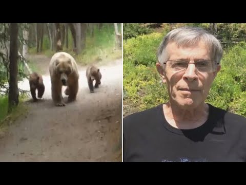 クマの親子に後をつけられて…（画像は『Inside Edition　2017年8月1日公開 YouTube「Hiker Records Video As Mama Bear And Cubs Follow Him Along Trail」』のサムネイル）
