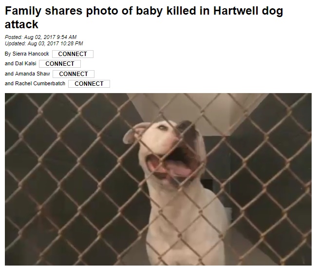 犬が1歳孫を噛み殺し祖母を起訴（画像は『Fox Carolina　2017年8月3日付「Family shares photo of baby killed in Hartwell dog attack」』のスクリーンショット）