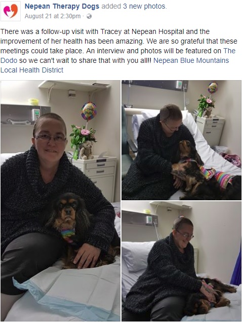 セラピー犬に癒される女性患者（画像は『Nepean Therapy Dogs　2017年8月21日付Facebook「There was a follow-up visit with Tracey at Nepean Hospital and the improvement of her health has been amazing.」』のスクリーンショット）