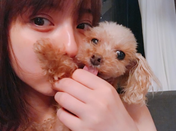 佐々木希＆愛犬に絶賛の声（画像は『佐々木希　2017年8月7日付Instagram「明日も 一日中スタジオにこもります！」』のスクリーンショット）