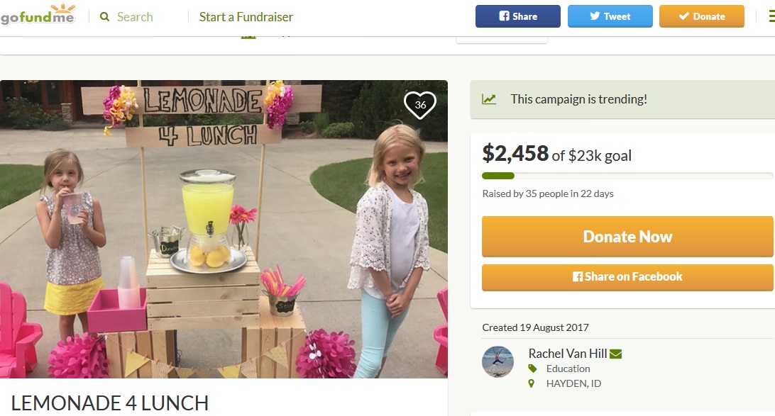 レモネードスタンドを設置した6歳少女（画像は『GoFundMe　2017年8月19日付「LEMONADE 4 LUNCH」』のスクリーンショット）