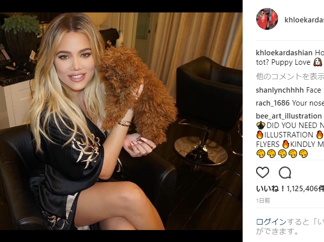 このクロエ・カーダシアンはキレイ過ぎる!?（画像は『Khloé　2017年11月9日付Instagram「How cute is this little tater tot? Puppy Love」』のスクリーンショット）