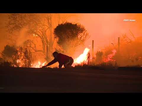 ウサギを救出した男性に「危険すぎる」と非難の声（画像は『ABC7　2017年12月7日公開 YouTube「Man risks life to save wild rabbit during SoCal wildfire | ABC7」』のサムネイル）