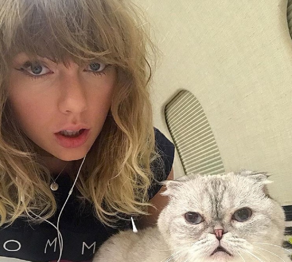 テイラー、またしてもファンに手を差し伸べる（画像は『Taylor Swift　2017年11月10日付Instagram「Waiting for　＃reputation like...」』のスクリーンショット）