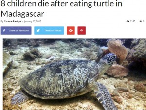 【海外発！Breaking News】ウミガメで食中毒、子供8人が犠牲に　母乳飲んで死亡した新生児も（マダガスカル）